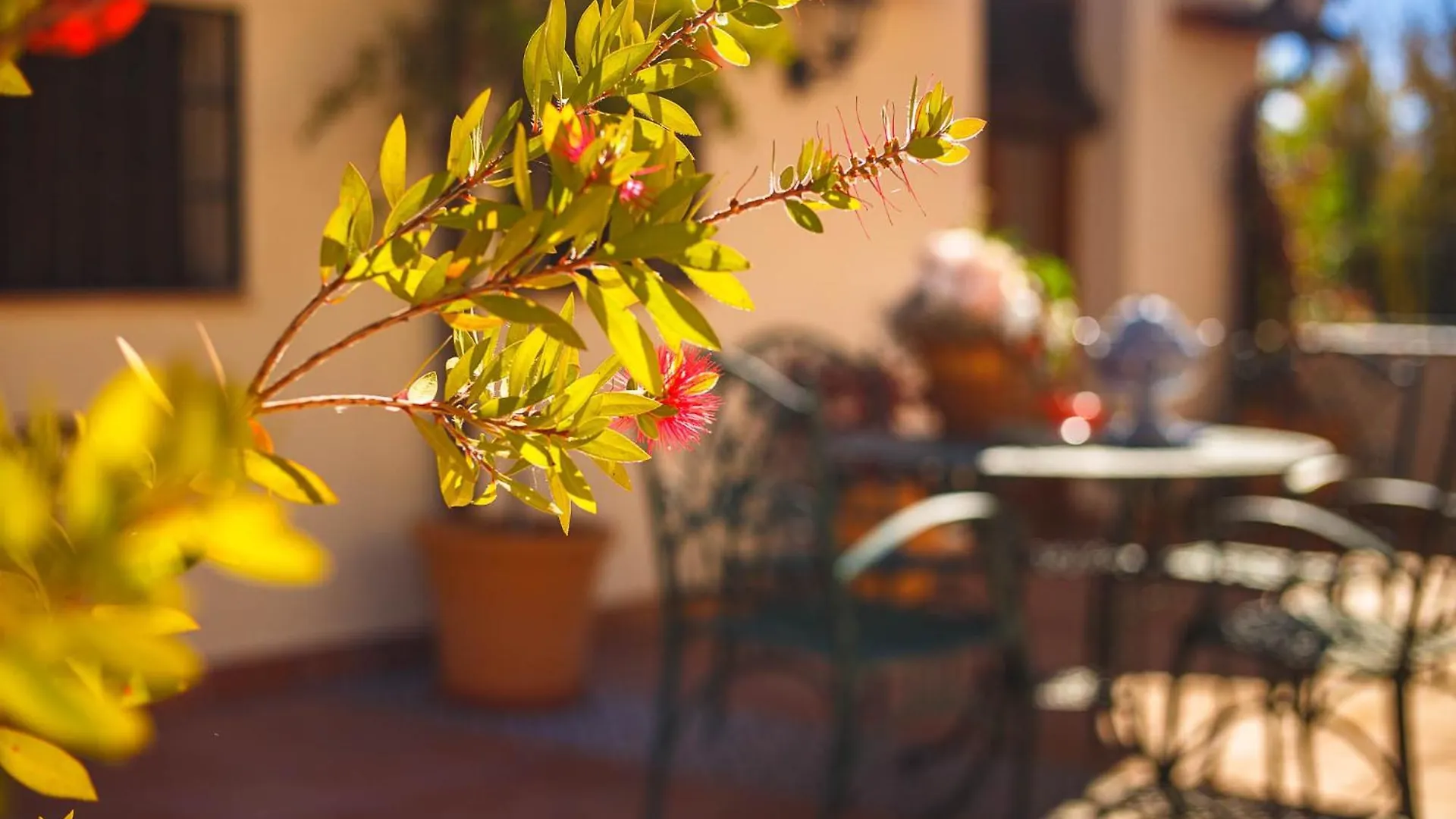 Molino San Acacio Casa Rural Huetor Santillan Apartment
